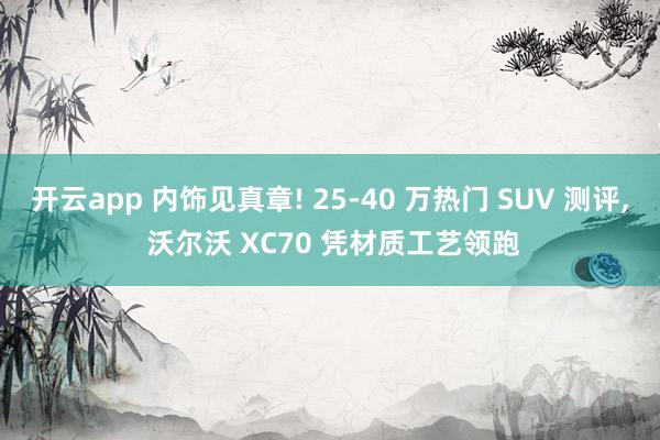 开云app 内饰见真章! 25-40 万热门 SUV 测评, 沃尔沃 XC70 凭材质工艺领跑