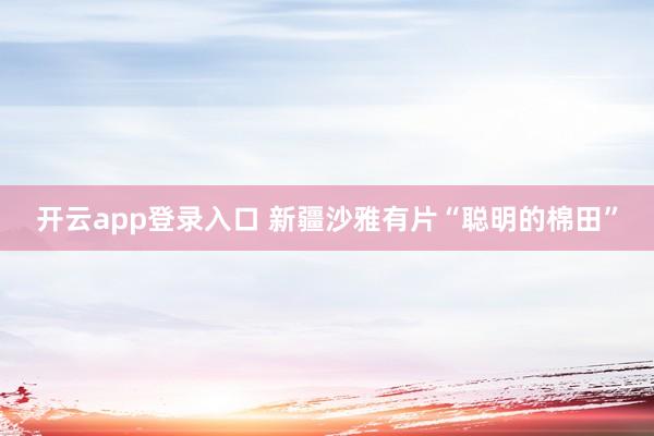 开云app登录入口 新疆沙雅有片“聪明的棉田”