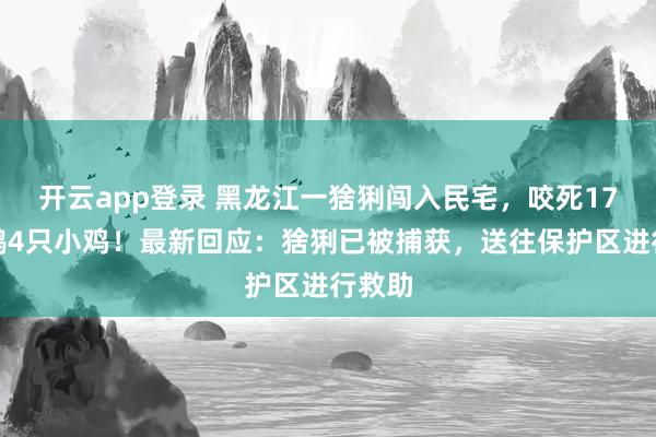开云app登录 黑龙江一猞猁闯入民宅，咬死17只大鹅4只小鸡！最新回应：猞猁已被捕获，送往保护区进行救助