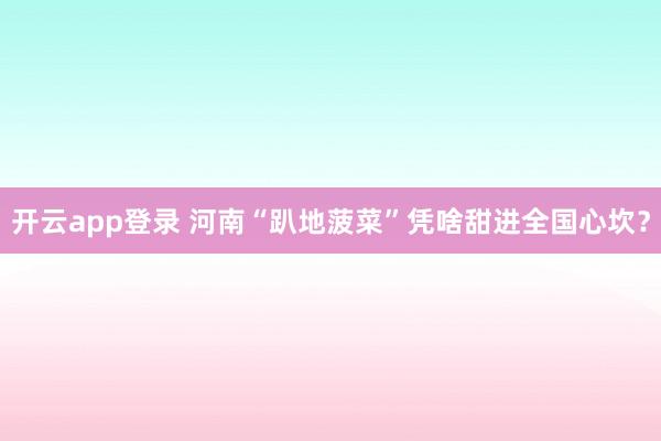 开云app登录 河南“趴地菠菜”凭啥甜进全国心坎？