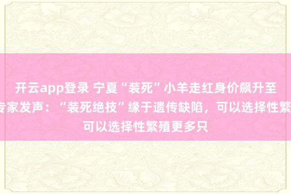开云app登录 宁夏“装死”小羊走红身价飙升至30万元 专家发声：“装死绝技”缘于遗传缺陷，可以选择性繁殖更多只