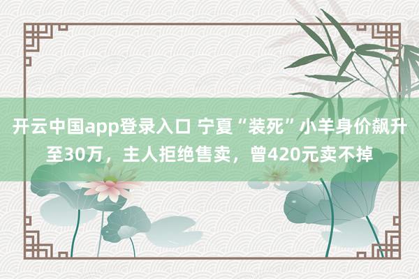 开云中国app登录入口 宁夏“装死”小羊身价飙升至30万，主人拒绝售卖，曾420元卖不掉