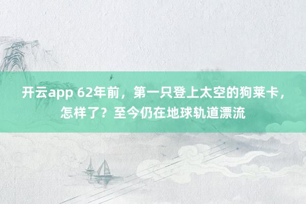 开云app 62年前,第一只登上太空的狗莱卡,怎样了?至今仍在地球轨道漂流