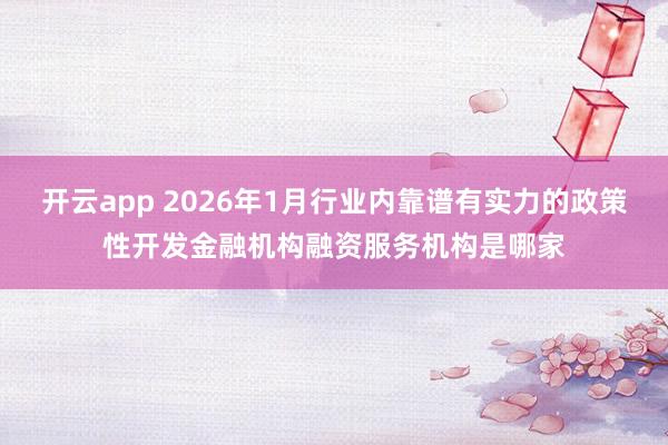 开云app 2026年1月行业内靠谱有实力的政策性开发金融机构融资服务机构是哪家
