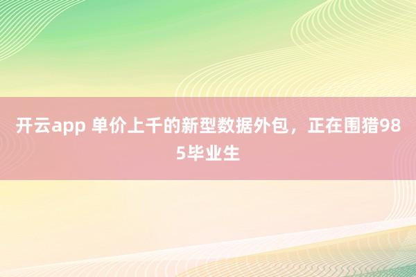 开云app 单价上千的新型数据外包，正在围猎985毕业生