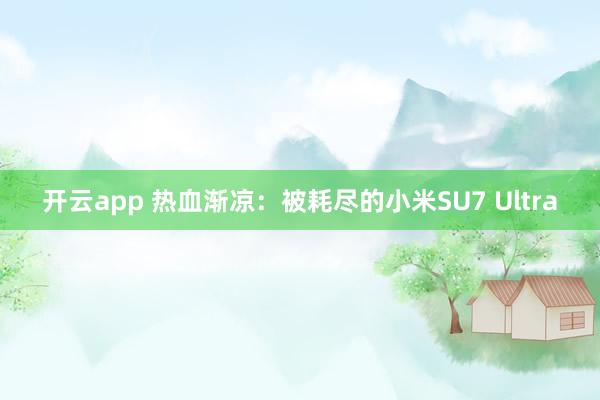 开云app 热血渐凉：被耗尽的小米SU7 Ultra