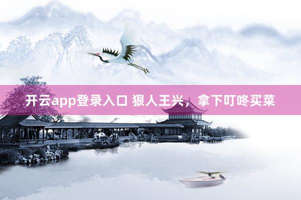 开云app登录入口 狠人王兴，拿下叮咚买菜