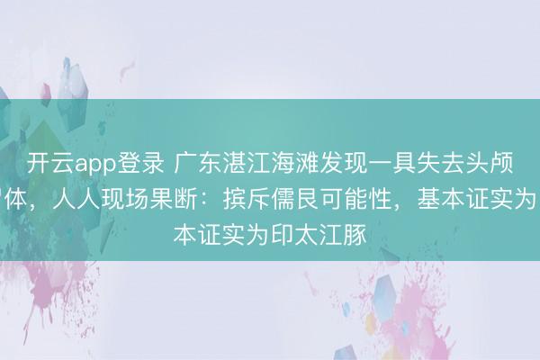 开云app登录 广东湛江海滩发现一具失去头颅的海兽尸体，人人现场果断：摈斥儒艮可能性，基本证实为印太江豚