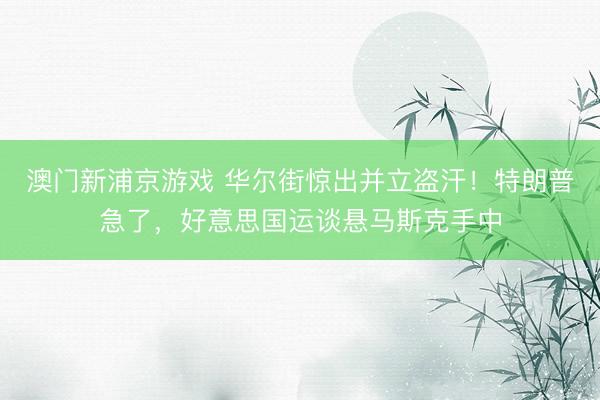 澳门新浦京游戏 华尔街惊出并立盗汗！特朗普急了，好意思国运谈悬马斯克手中